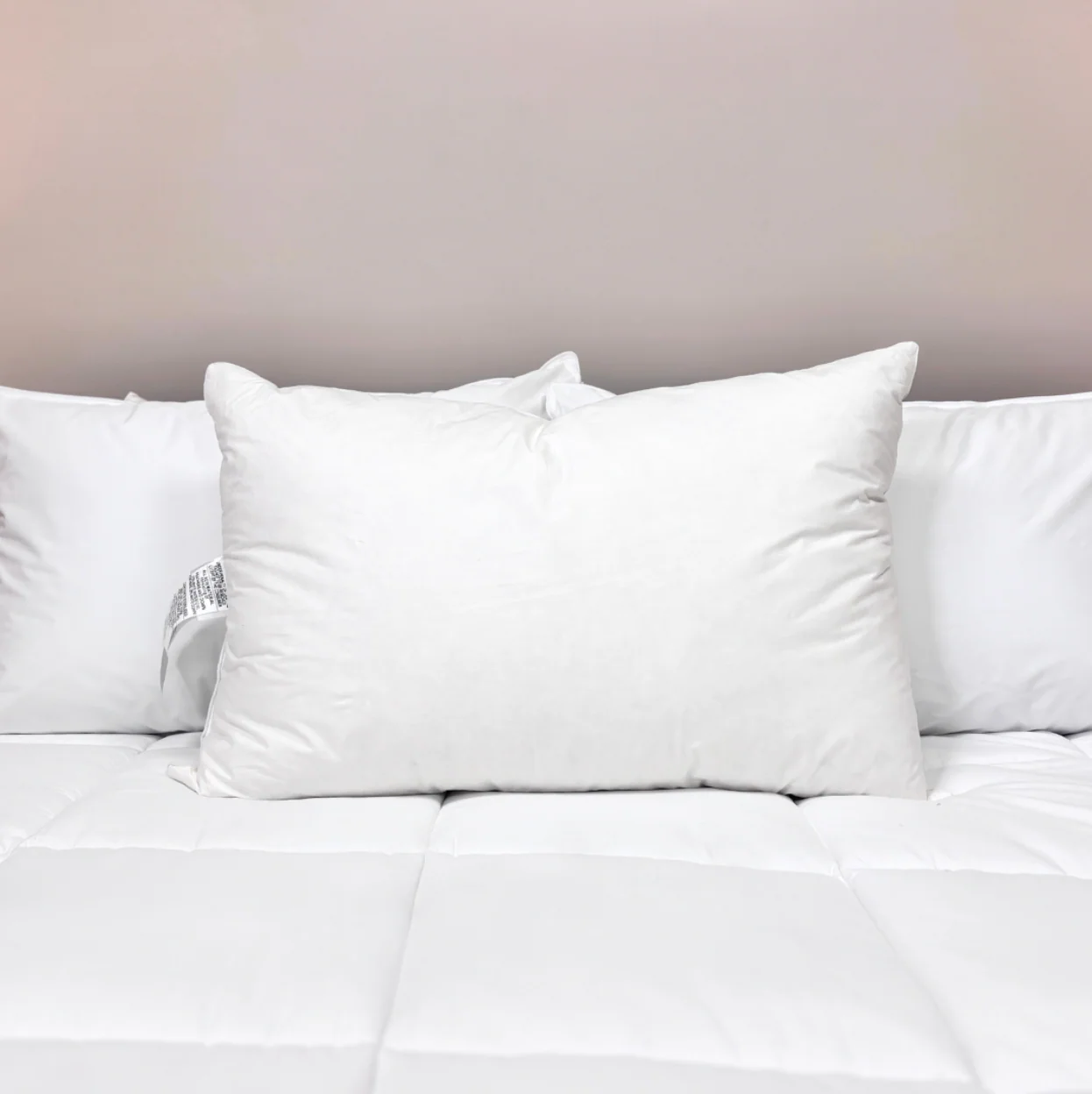Pillows.com Pillows on Sale - Clearance Luxury Bedding